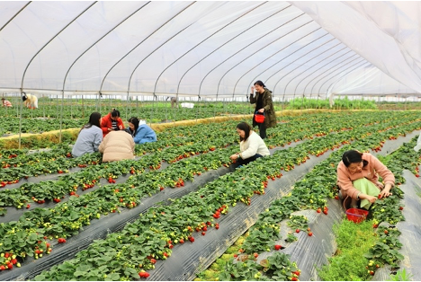 49da4946724c5e4fc6c9242520f36200.png MGMÃÀ¸ß÷(Macau)¹É·ÝÓÐÏÞ¹«Ë¾