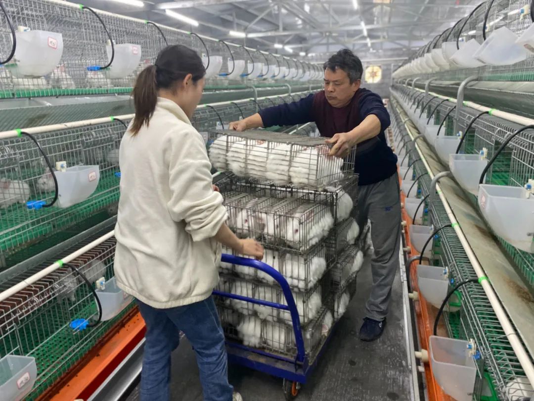 MGM����÷(Macau)�ɷ����޹�˾