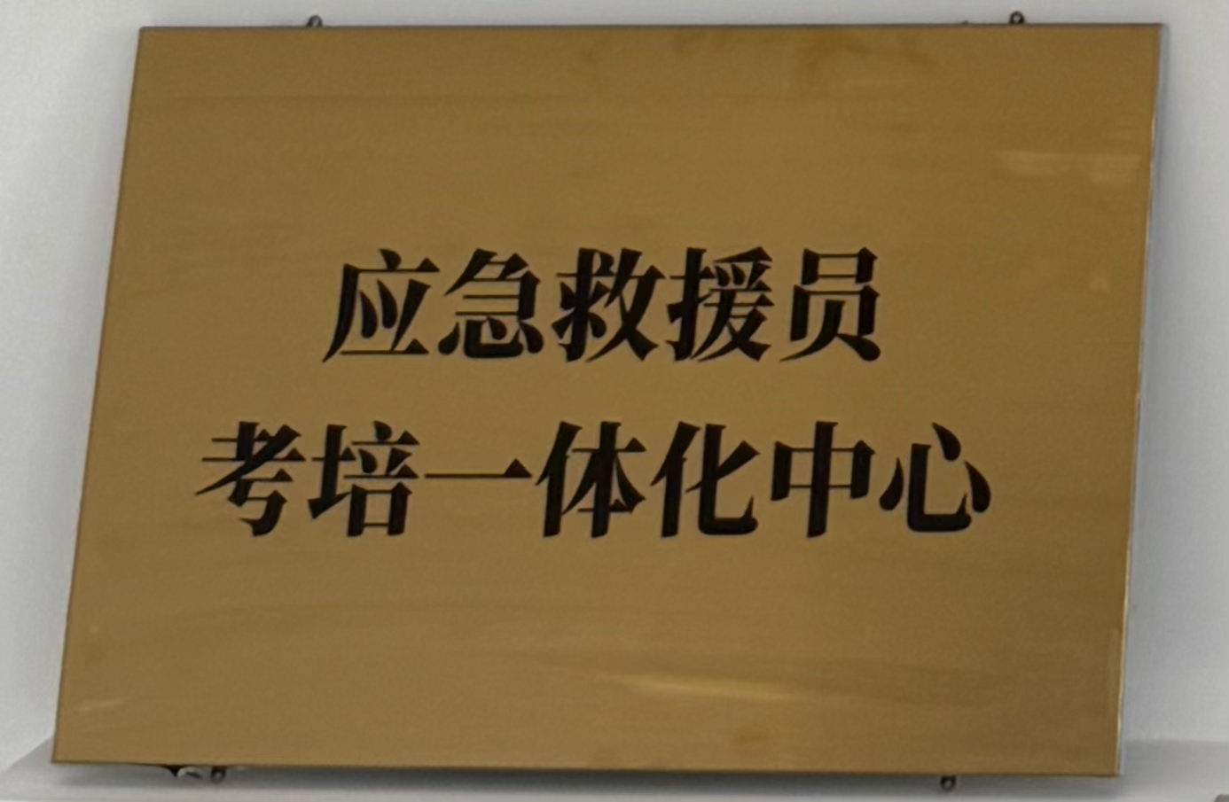 Ӧ����ԮԱ����һ�廯���ġ�